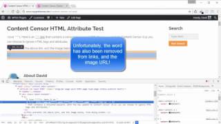 Content Censor WordPress Plugin - Ignore HTML Tags and Attributes
