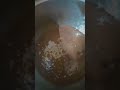حلو خفيف وطيب ياسلام شي بشهي