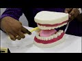 1 brushing technique of 2018  best dental care in chennai  senthil dental care