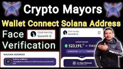 Crypto Mayors Kyc & Solana Wallet Submission Guide | Crypto Mayors Wallet Connect