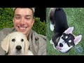 I babysit James Charles Puppy for 24 hours!