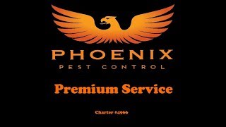 Premium Pest Control Service