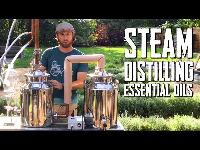 How to Steam Distill Essential Oils class=