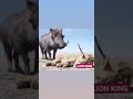 The lion king bhojpuri dubbed very funny momment 