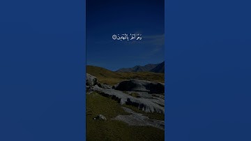 سورة القصص { ٥٦ _ ٥٧ } #ياسر_الدوسري #قرآن_كريم #انشر_تؤجر