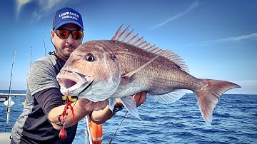 Como mover Tai-Rubbers con 𝐉𝐋𝐂 𝐙𝐚𝐧𝐳𝐢́𝐛𝐚𝐫 𝐒𝐋𝐎𝐖 𝟔𝟔𝟐 𝐕𝐬 𝐍𝐚𝐮𝐭𝐢𝐥𝐮𝐬 𝐉𝐋𝐂 𝟐.𝟎 Rojo brillos.