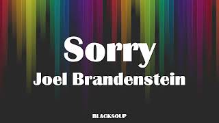Joel Brandenstein - Sorry Lyrics