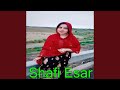 Qara Qara Qadam Ezada Qara Qara Qadam Ezada