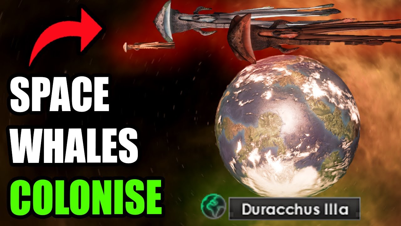 Is This NEW ORIGIN Good?