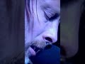 📢 El fantástico señor Yorke