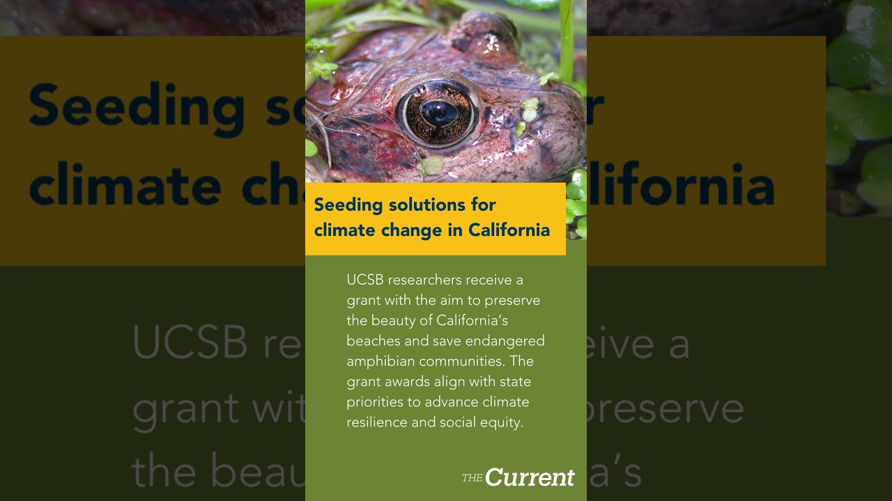 UCSB News in Review  | Week of 10/15/23 