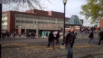 Com 210 Video Tutorial #1