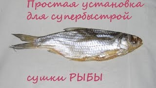 Простая установка для вяления рыбы.