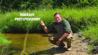 MOKŘADY A MY Díl 2 - Mokřady proti povodním