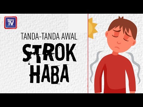 Video: Strok Haba