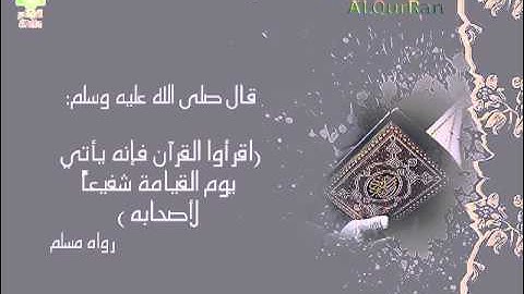 سورة التكوير ║ تلاوة الشيخ أحمد الحواشي ║