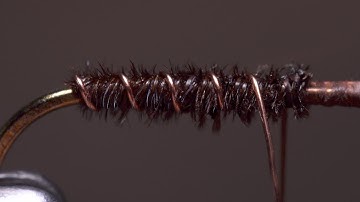 Counter Wrapping Intelligence