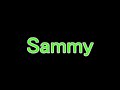 sammy  北斗無双 自作 ST 確定音