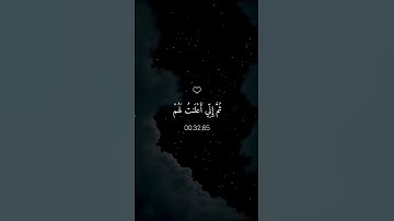 تلاوة خاشعة ومؤثرة بصوت الشيخ ماهر المعيقلي ليرتاح قلبك ♡ #ماهر المعيقلي