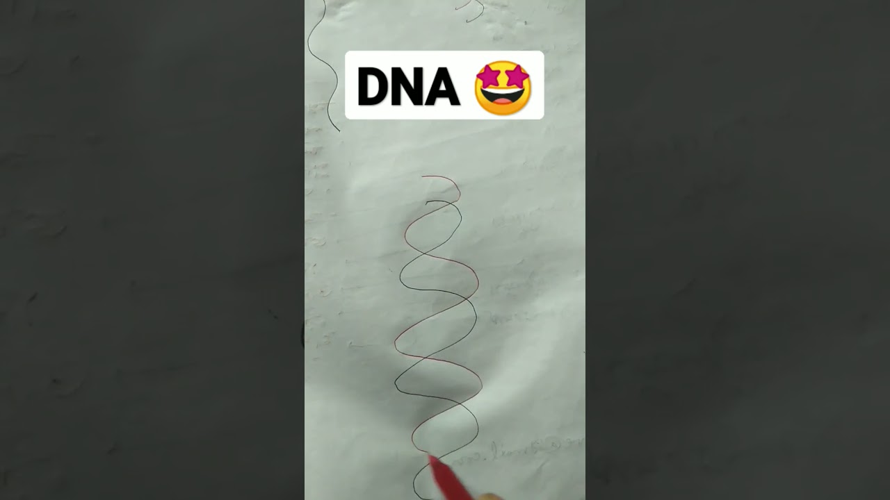 DNA drawing trick 🤩❤️ | NEET Motivation 📚 | Biology Drawing 🤑 