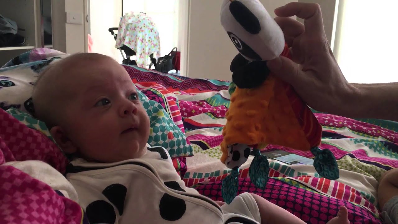 8 week old baby tracking with eyes development YouTube