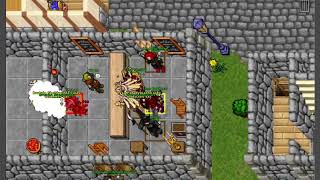 Tibia PK - AC - 435 EK #9