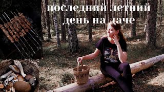 Последний летний день на даче// поход в лес