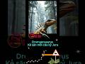 Dromaeosaurus kẻ săn mồi kỷ jura #history #education #shortvideo #animals