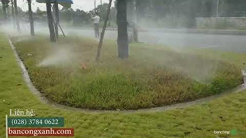 Tưới cảnh quan sử dụng béc tưới phun mưa Hunter