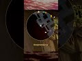 ИНТЕРЕСНЫЕ БАГИ в CS2
