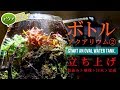 #小型水槽 ボトルアクアリウムはじめます②立ち上げ完成編 #オーバル水槽