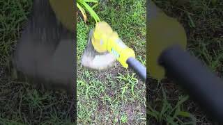 Ryobi 12” 2 in 1 review and tips #ryobi #mower #wacker