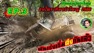 เปิดตำนานป่าใหญ่ |ชมไพรเที่ยวป่าใหญ่2566 |EP.3 คันเร่งเริ่มตึงกันแล้ว |4x4 off road Thailand