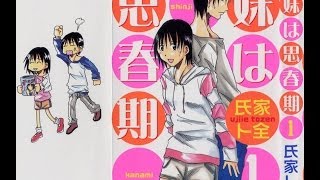 Eagleland Manga Reviews Imouto No Shishunki