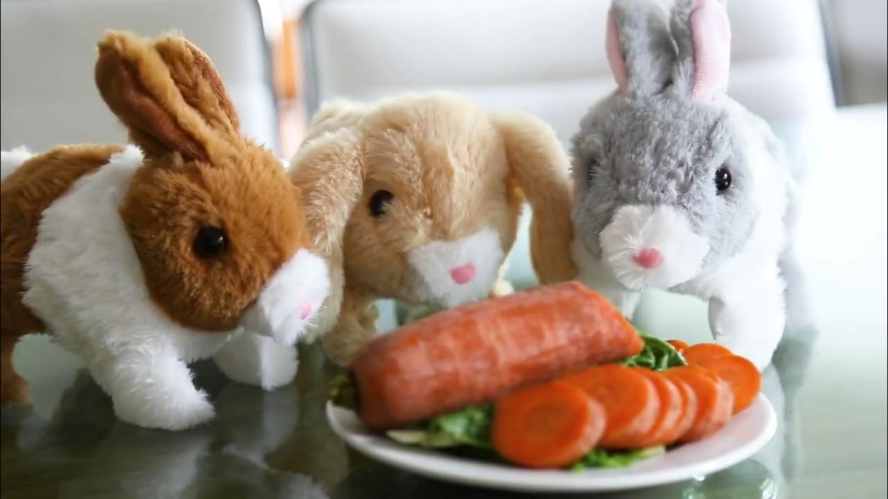 Addo Pitter Patter Pets Teeny Weeny Bunny YouTube