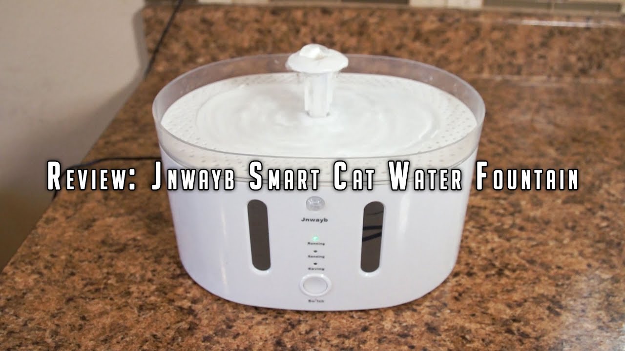Review Jnwayb Smart Cat Water Fountain YouTube