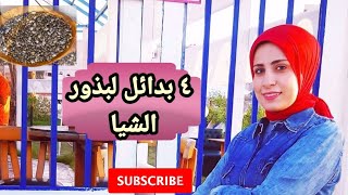 ٤ بدائل لبذور الشيا المشبعه متوفره فى كل مكان وثمنها خمسه جنيه بسلكل اللى بيعملوا دايت ??