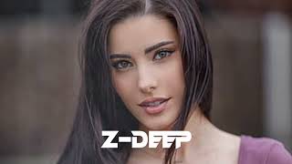 Z-Deep - Walking Dubai