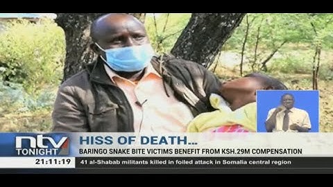 Baringo snake bite victims benefit from KSh. 29M compensation