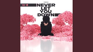 Never Let You Down