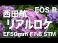 【Canon EOS R】EF50mm F1.8 STM リアルロケ