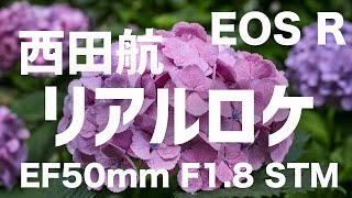 【Canon EOS R】EF50mm F1.8 STM リアルロケ