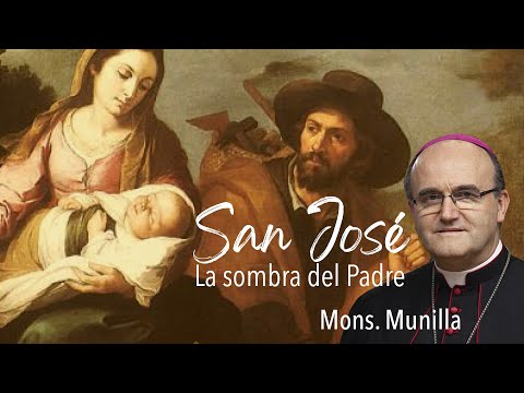 Video: A La Sombra Del Papa