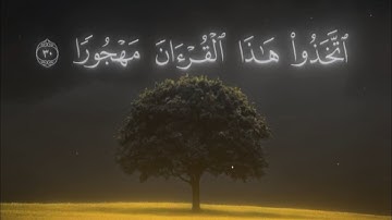 (ويوم يعض الظالم على يديه) - سورة الفرقان | مشاري العكيل