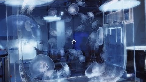 🦌 ][ Santa baby MEP part 18