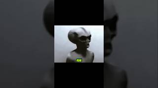4 Alien Species Recovered From UFO Crashes? #usa #alien #shorts #mystery