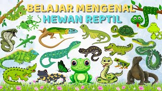 Belajar Mengenal Nama-Nama Hewan Reptil Bahasa Indonesia & Bahasa Inggris | Learn Names of Reptiles