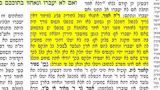 מסכת קידושין דף ס"א 61