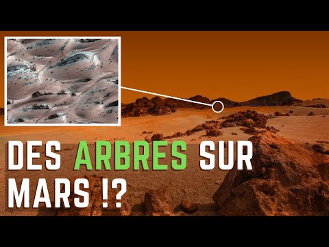 Vidéo: Des Arbres Et Des Lacs Ont été Découverts Sur Mars - Vue Alternative