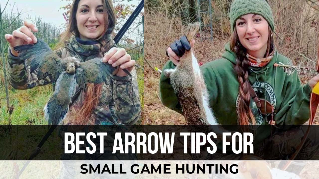 Best arrow tips for small game hunting 2023 | The Ultimate Cheat Sheet on Best Arrow